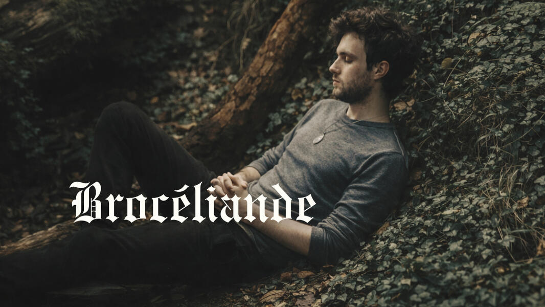 La Forêt Enchantée de Brocéliande